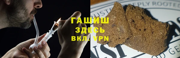 PSILOCYBIN Бородино